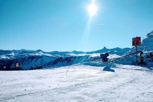 Från Zürichs centralstation: 4 timmars skidskola för nybörjare med resa
