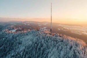 Von Zürich: Bergzauber auf zwei Rädern zum Uetliberg