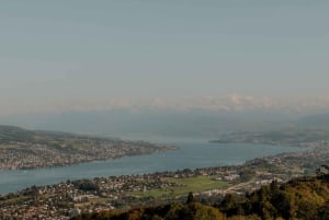 Von Zürich: Bergzauber auf zwei Rädern zum Uetliberg
