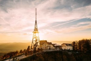 Von Zürich: Bergzauber auf zwei Rädern zum Uetliberg