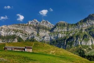 Zürichistä: Säntis, Gallenin vanha kaupunki, UNESCO-kirjasto