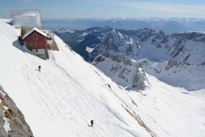 Zürichistä: Säntis, Gallenin vanha kaupunki, UNESCO-kirjasto