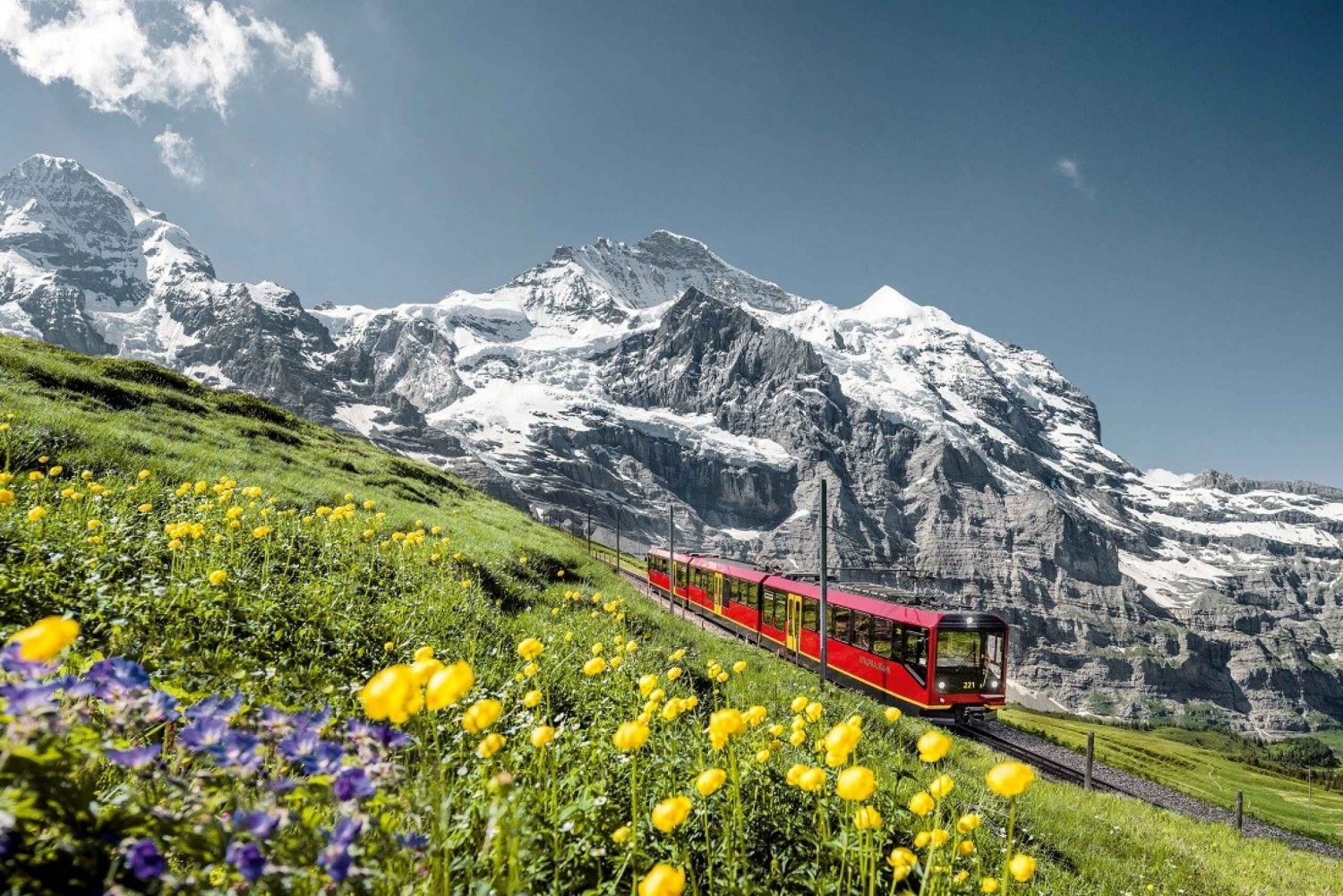 Fra Zürich eller Luzern: 2-dages Jungfraujoch-tur