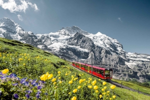 From Zurich or Lucerne: 2-Day Jungfraujoch Tour