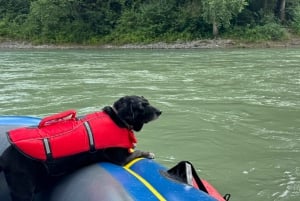 Desde Zúrich: excursión privada de un día de rafting por el río Aar a Berna