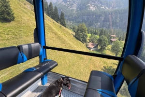 Da Zurigo: escursione privata di un giorno al lago turchese di Oeschinensee