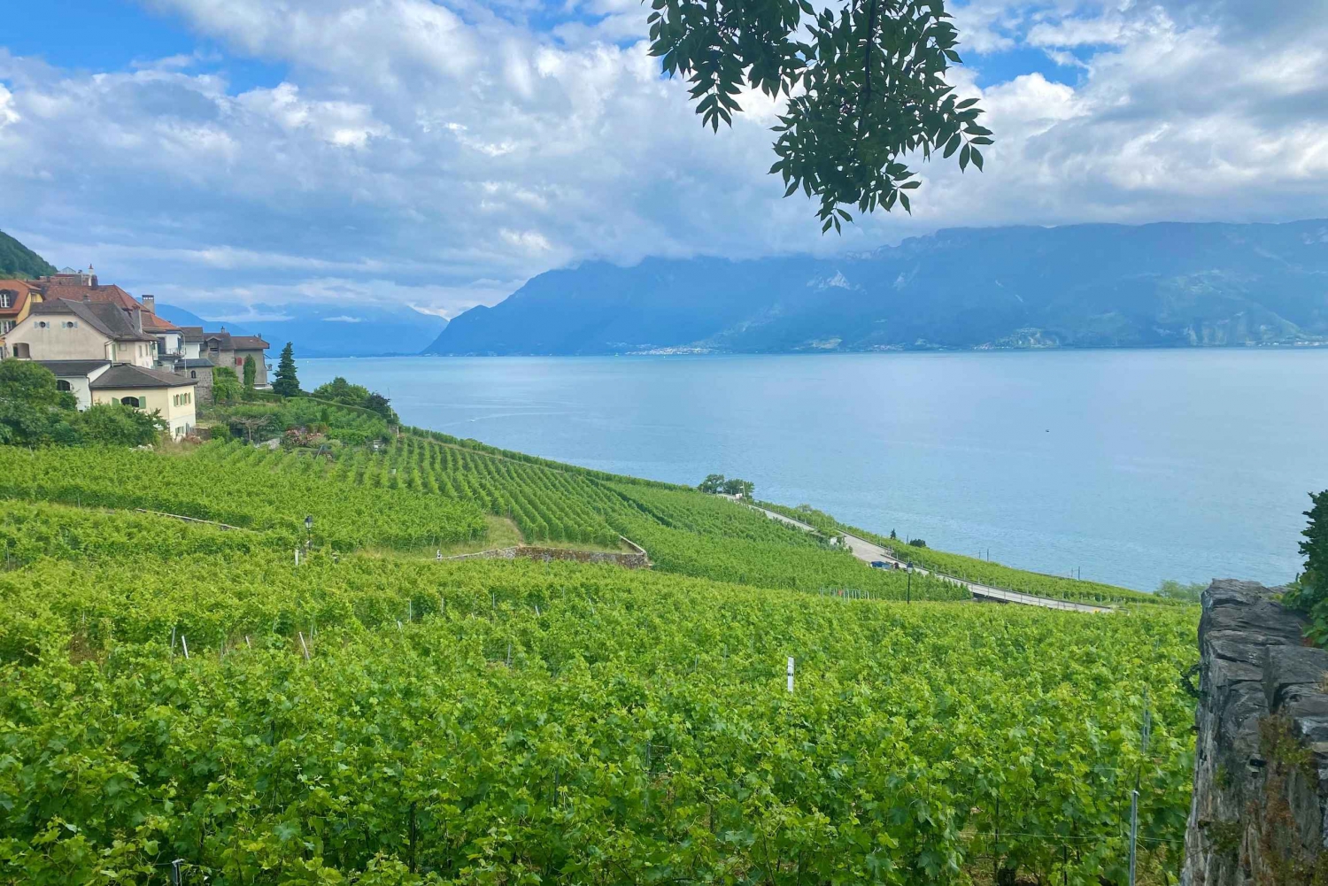 From Zurich: Private Day Trip to Gruyères & Lavaux Vineyard