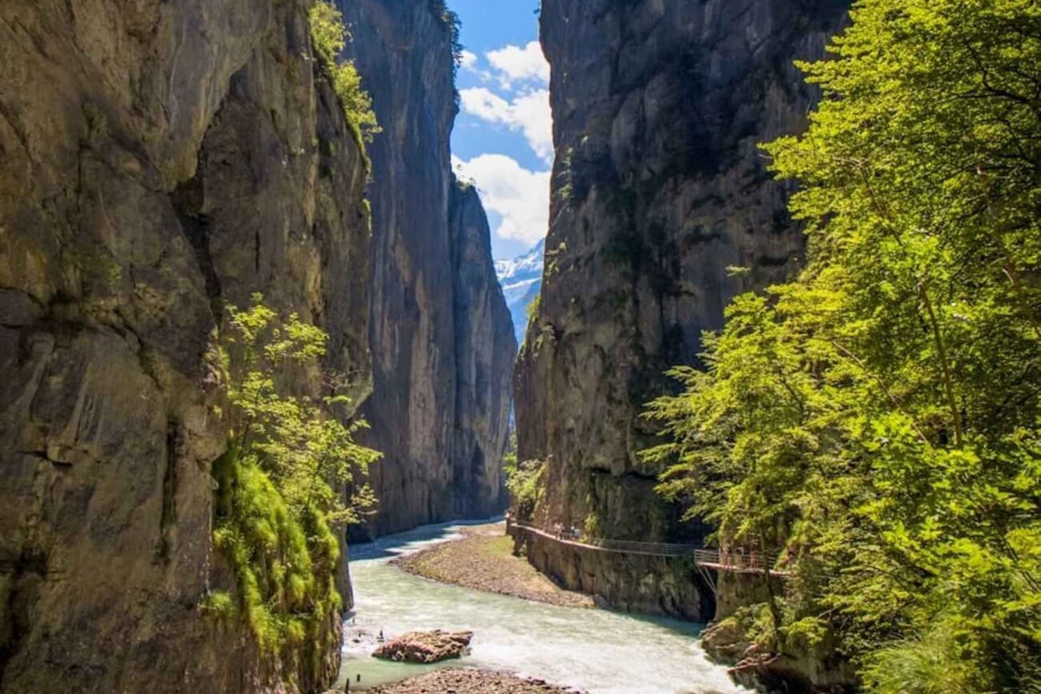 Fra Zürich: Privat dagstur til Interlaken/Luzern i bil