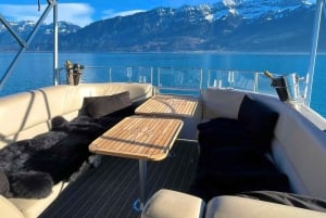 Fra Zürich: Privat dagstur til Interlaken/Luzern i bil