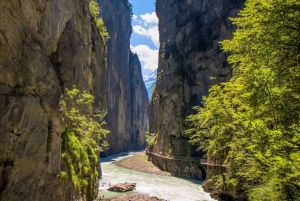 Fra Zürich: Privat dagstur til Interlaken/Luzern i bil