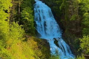 Fra Zürich: Privat dagstur til Interlaken/Luzern i bil