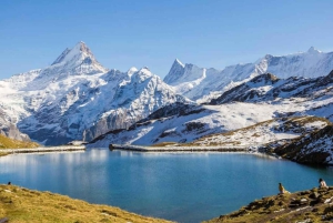 Fra Zürich: Privat dagstur til Interlaken/Luzern i bil