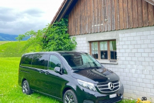 Explore Swiss Villages: Interlaken-Grindelwald(Private Tour)