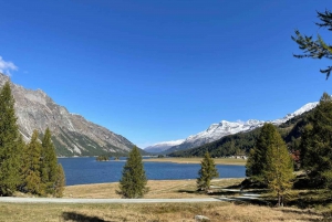 From Zurich: Private Day Trip to St. Moritz