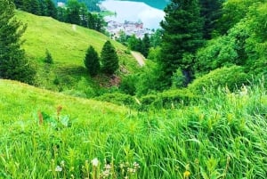 Из Цюриха: частная однодневная поездка в Санкт-Мориц на автомобиле