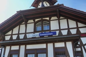 Depuis Zurich : visite d'une journée privée sur le thème de Bollywood