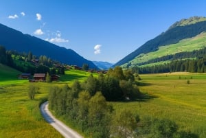 Depuis Zurich : visite d'une journée privée sur le thème de Bollywood