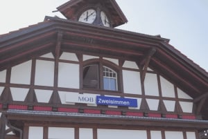 Depuis Zurich : visite d'une journée privée sur le thème de Bollywood