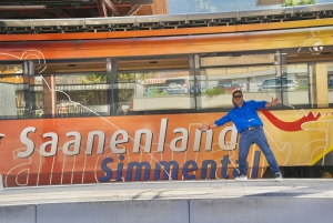 Vanuit Zürich: privé DDLJ Bollywood-thema dagtour