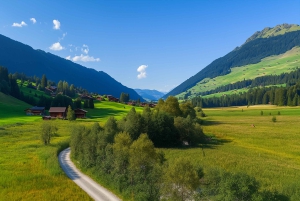 Vanuit Zürich: privé DDLJ Bollywood-thema dagtour