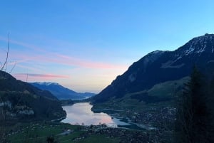 Fra Zürich: Privat halvdagstur til Lucerne med lokal guide