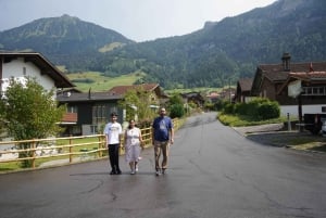 Fra Zürich: Privat halvdagstur til Lucerne med lokal guide