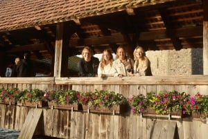 Fra Zürich: Privat halvdagstur til Lucerne med lokal guide