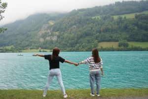 Fra Zürich: Privat halvdagstur til Lucerne med lokal guide