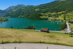 Fra Zürich: Privat halvdagstur til Lucerne med lokal guide