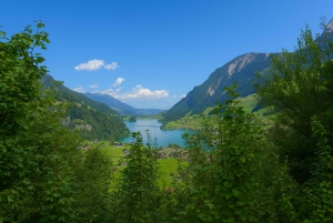 Fra Zürich: Privat halvdagstur til Lucerne med lokal guide
