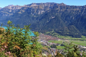 From Zurich: Private Interlaken and Grindelwald Car Tour