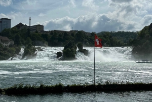 Zürichistä: Rheinfalls ja Stein am Rhein