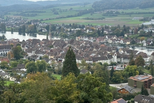 Zürichistä: Rheinfalls ja Stein am Rhein