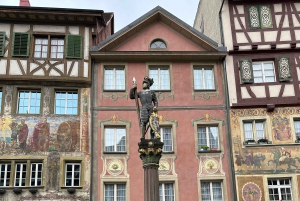 Zürichistä: Rheinfalls ja Stein am Rhein