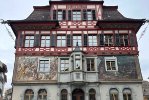 Zürichistä: Rheinfalls ja Stein am Rhein