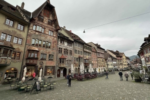 Zürichistä: Rheinfalls ja Stein am Rhein