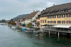 Zürichistä: Rheinfalls ja Stein am Rhein