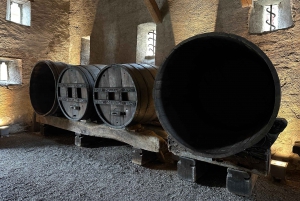 Zürichistä: Rheinfalls ja Stein am Rhein