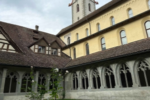 Zürichistä: Rheinfalls ja Stein am Rhein