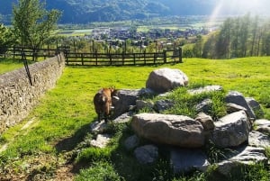 Von Zürich aus: Privatreise nach Liechtenstein und ins Heidiland