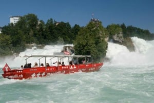 Zurich : Excursion d'une demi-journée aux chutes du Rhin et à la ville historique de Schaffhouse