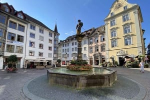 Zurich : Excursion d'une demi-journée aux chutes du Rhin et à la ville historique de Schaffhouse