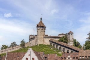 Zurich : Excursion d'une demi-journée aux chutes du Rhin et à la ville historique de Schaffhouse