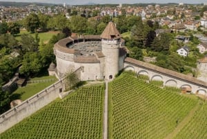 Zurich : Excursion d'une demi-journée aux chutes du Rhin et à la ville historique de Schaffhouse
