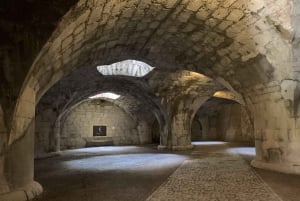 Zurich : Excursion d'une demi-journée aux chutes du Rhin et à la ville historique de Schaffhouse