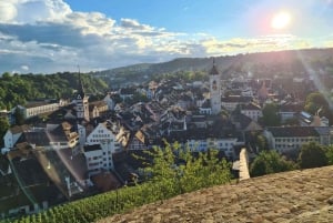 Zurich : Excursion d'une demi-journée aux chutes du Rhin et à la ville historique de Schaffhouse