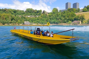 Rhine Falls & Stein am Rhein: Private Tour with a Local