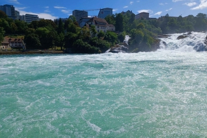 Rhine Falls & Stein am Rhein: Private Tour with a Local