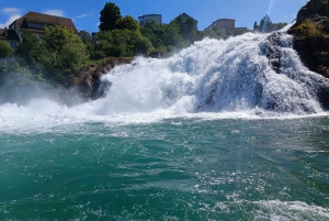 Rhine Falls & Stein am Rhein: Private Tour with a Local