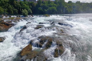 Rhine Falls & Stein am Rhein: Private Tour with a Local